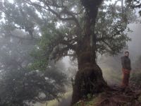 Madeira - ostrov věčného jara a nekonečných traumat