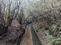 Madeira - ostrov věčného jara a nekonečných traumat