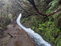 Madeira - ostrov věčného jara a nekonečných traumat