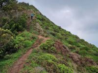 Madeira - ostrov věčného jara a nekonečných traumat