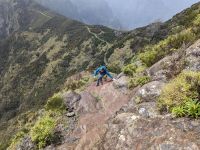 Madeira - ostrov věčného jara a nekonečných traumat